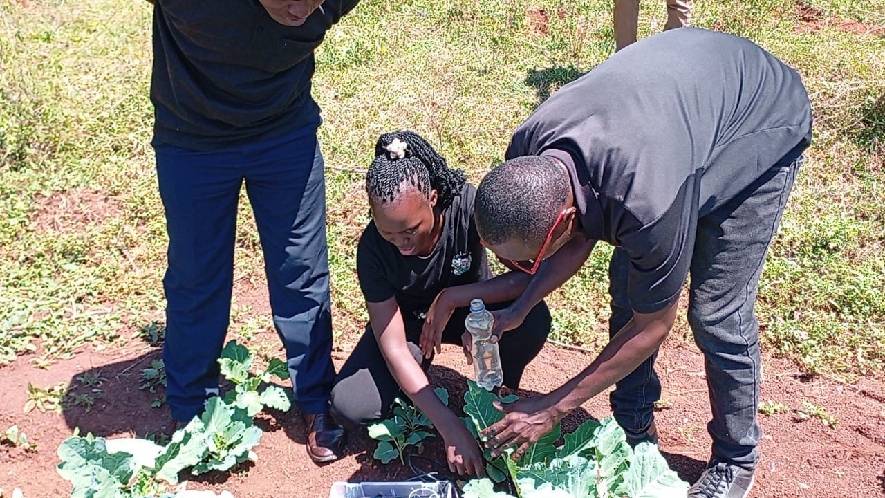 Training session on automated irrigation systems